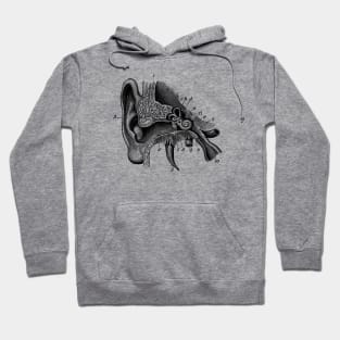 Inner Ear Anatomy Diagram Hoodie